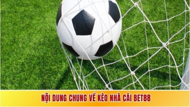 BET88 Bookie Odds - Your Ultimate Guide for Sports Betting