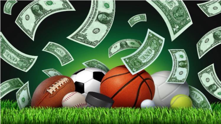 A Complete Guide For Beginners On Sports